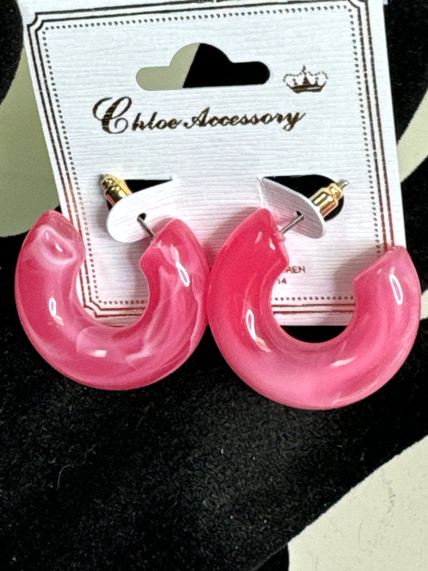 Hot Pink Small Fashion Hoop Earrings